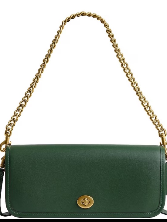 Coach Handbags - COACH The Coach Originals Dinky 1974 Gold Chain Shoulder Bag NWT
